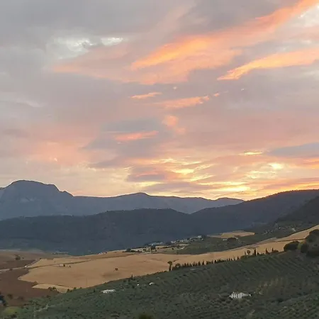 Finca Las Rocas - Rocasita Alora