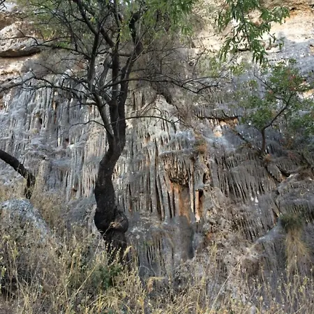 Finca Las Rocas - Rocasita *
