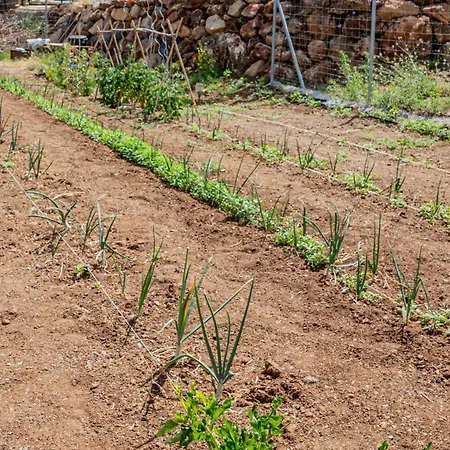 Finca Las Rocas - Rocasita